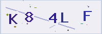 보안 문자